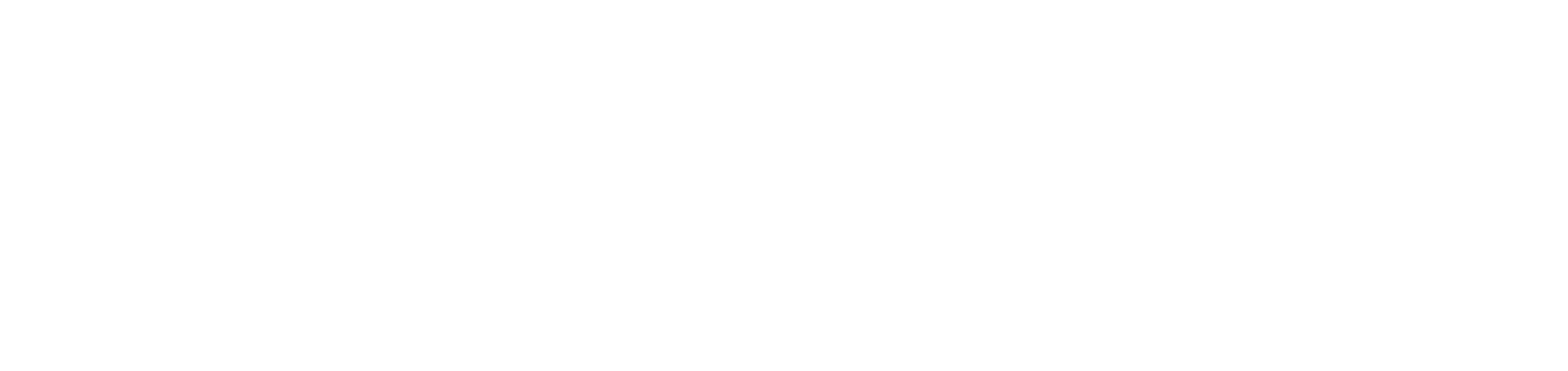 somecode — bespoke software and web development studio, Dubai